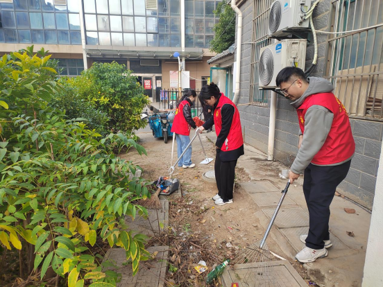 20241226111414636002