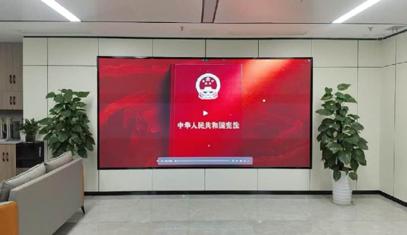 法治心灵入人心，崇法行动践于杏转—yp街机公司发展宪法进建系列活动